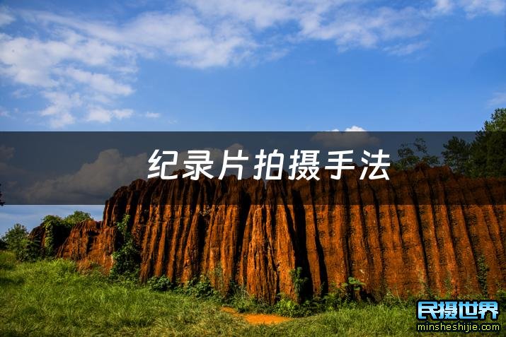 双主角贴身护卫